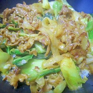 カレー好きにお勧め！豚肉と野菜のカレーマヨ丼